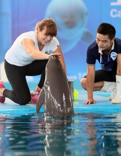 几次精彩的 几次精彩的